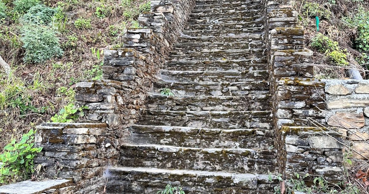A stone staircase among trees: you move from demo to real account one step at a time